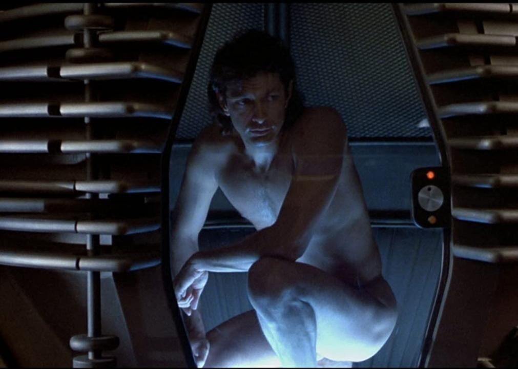 #80. The Fly (1986)